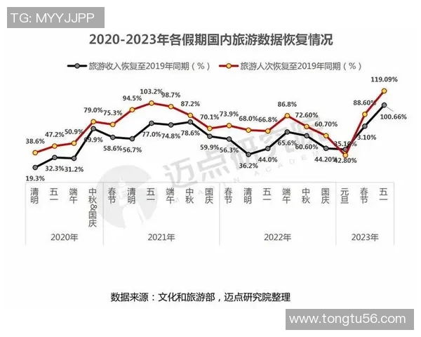 深入解析上海足球队技术表现的数据分析与战术探讨